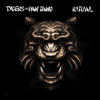 Damn You_Tygers of Pan Tang