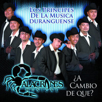 Por Tu Amor_Alacranes Musical