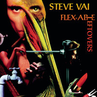 You Didnt Break It_Steve Vai