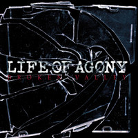Love To Let You Down_Life of Agony