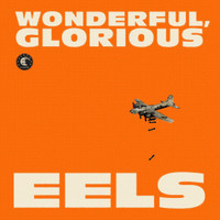 True Original_Eels