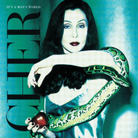 Shape Of Things To Come_Cher