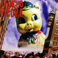 Paquidermo_Chancho en Piedra