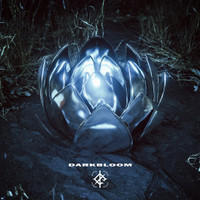 Black Hole_We Came As Romans