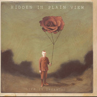 Top 5 Addictions_Hidden in Plain View