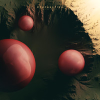 Confundiste_Eruca Sativa