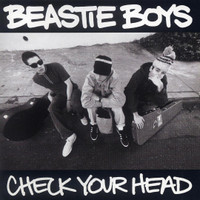 Gratitude_Beastie Boys
