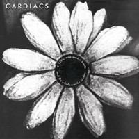 Theme From The Breakfast Line_Cardiacs