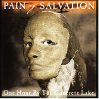 Handful Of Nothing_Pain of Salvation