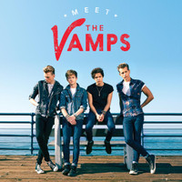 Wild Heart_The Vamps