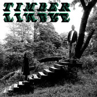 Until The Night Is Over_Timber Timbre