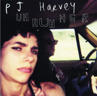 The Darker Days Of Me And Him_PJ Harvey