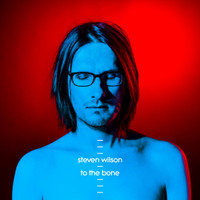 Pariah_Steven Wilson