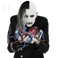 The Doomed_A Perfect Circle