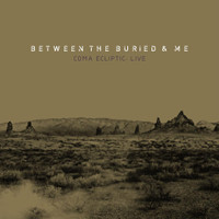 The Ectopic Stroll_Between the Buried and Me