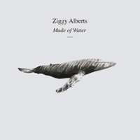 Simple Things_Ziggy Alberts