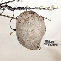 Photographic Memory_Sky Eats Airplane