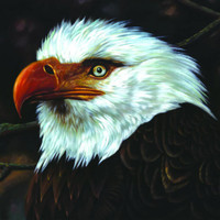 The Precipice_Mogwai