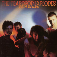 Poppies In The Field_The Teardrop Explodes