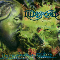 Near The Gates_Illdisposed