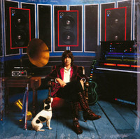 Tourist_Julian Casablancas