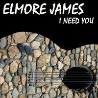 Shake Your Money Maker_Elmore James