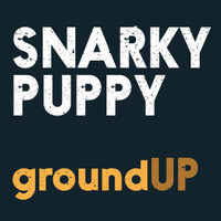 Bent Nails_Snarky Puppy