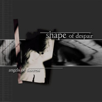 Fallen_Shape of Despair