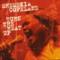Salt In My Wounds_Shemekia Copeland