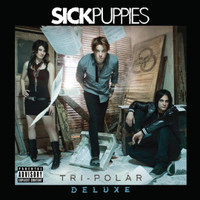 Shouldve Known Better_Sick Puppies