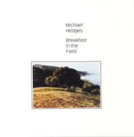 Two Days Old_Michael Hedges