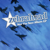 Photographs_Zebrahead