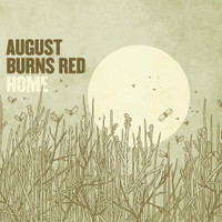 The Truth Of A Liar_August Burns Red