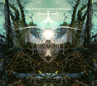 Another Leather Lung_The Sound of Animals Fighting