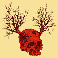 Linnut Eivät Enää Laula_Mokoma