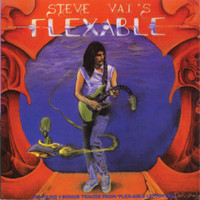 The Attitude Song_Steve Vai
