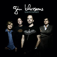 Til I Hear It From You_Gin Blossoms