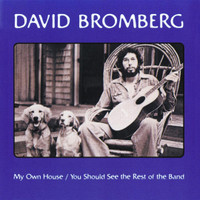 Spanish Johnny_David Bromberg