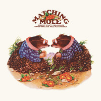 O Caroline_Matching Mole