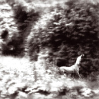 After All These Years_Syd Matters