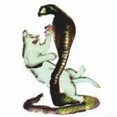 Dishonest Don Part Ii_Les Savy Fav