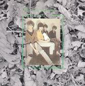 In Shreds_The Chameleons