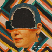Shes A Riot_The Jungle Giants