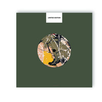 Mersey Paradise_The Stone Roses