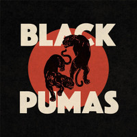 Colors_Black Pumas