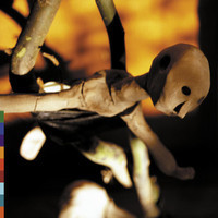 Honey And The Moon_Joseph Arthur