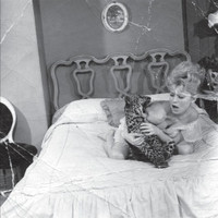 The Beep Beep Song_Simone White