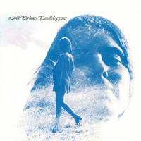 Hey Who Really Cares_Linda Perhacs