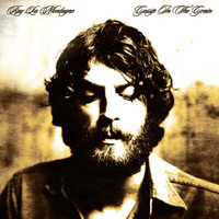 You Are The Best Thing_Ray LaMontagne