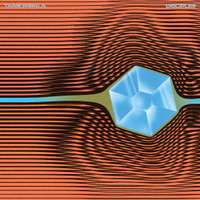 Disciples_Tame Impala